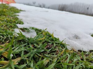 WhatsApp-Image-2026-02-11-at-16.21.24